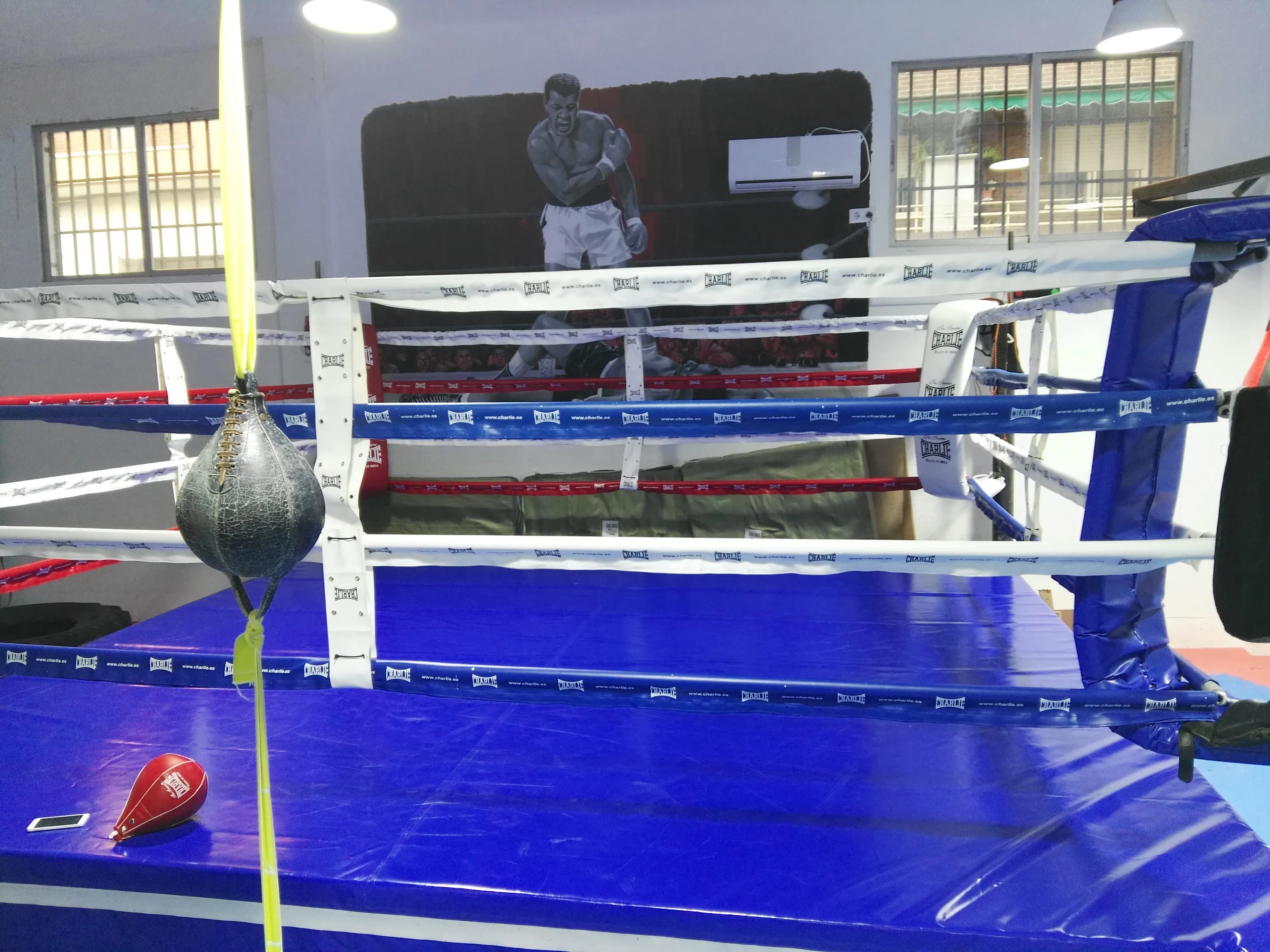 El ring del gimnasio, con la pera de velocidad colgada y el mural de Muhammad Ali al fondo