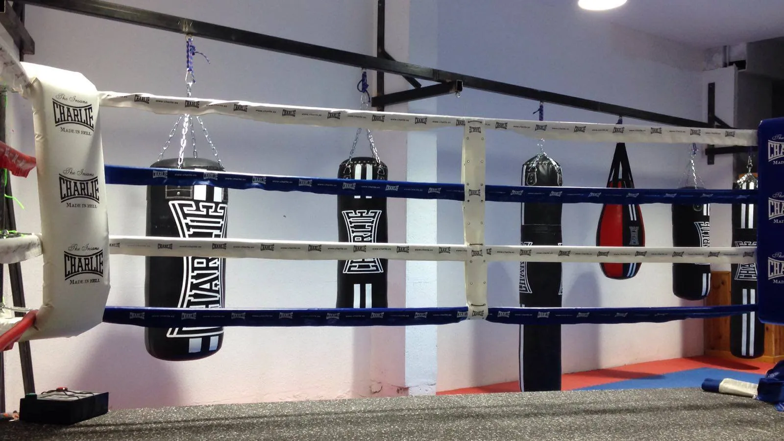 La sala de entrenamiento vista desde el ring, con los sacos y el tatami