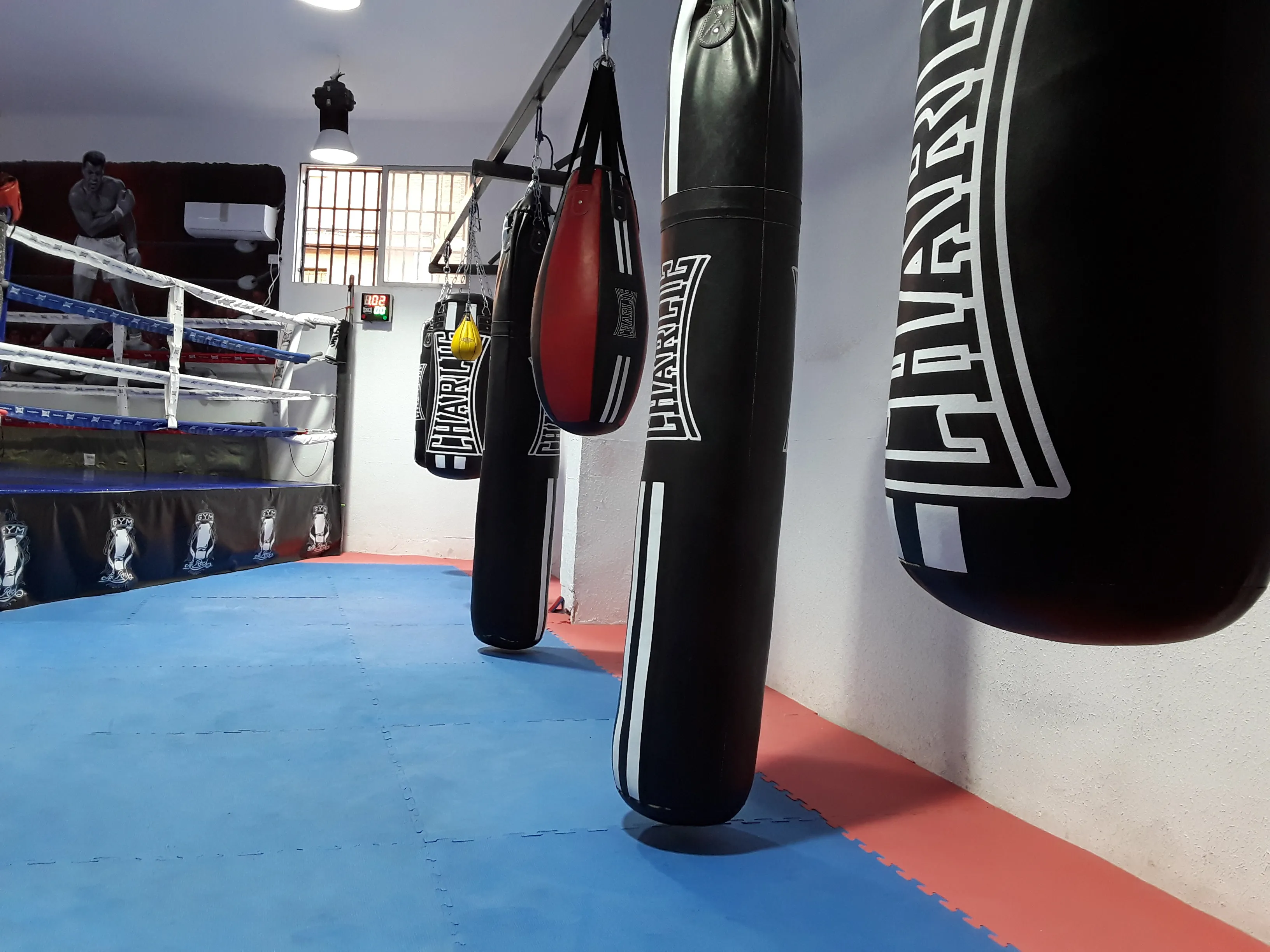 Sala de entrenamiento de La Roca, con los sacos colgados y el ring al fondo